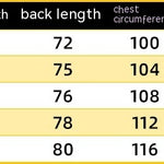 Fashion Hooded Fitness Vest Men